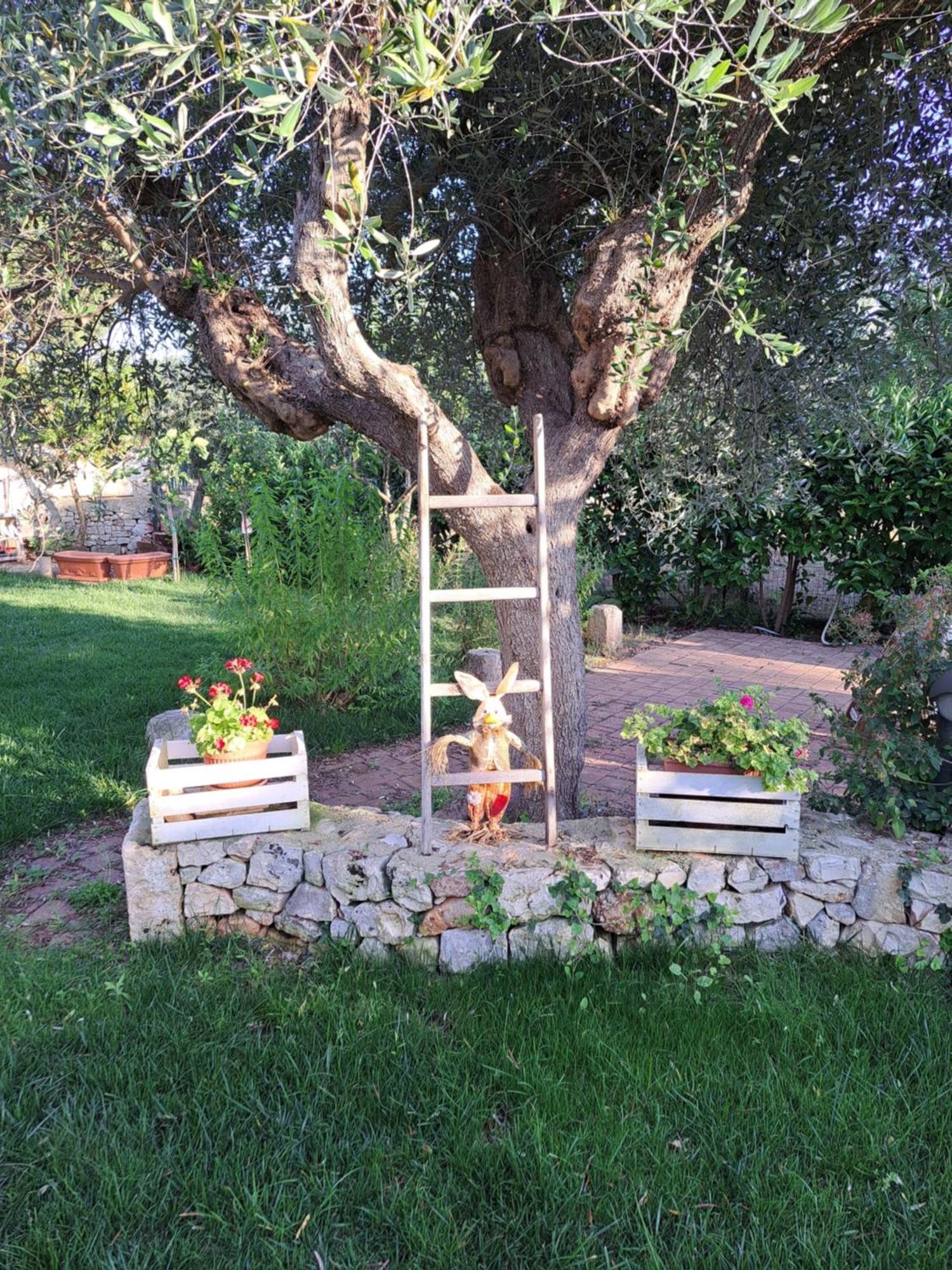 La Casa Di Bel Villa Monopoli Buitenkant foto